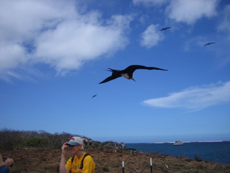 Birds everywhere Photos from Chris Hardie
