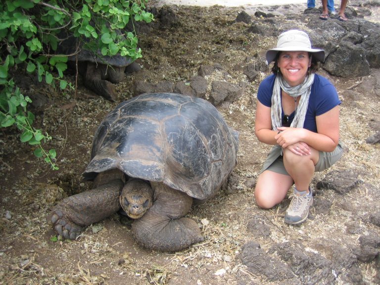 Tortoise And Kelly - Photos From Chris Hardie