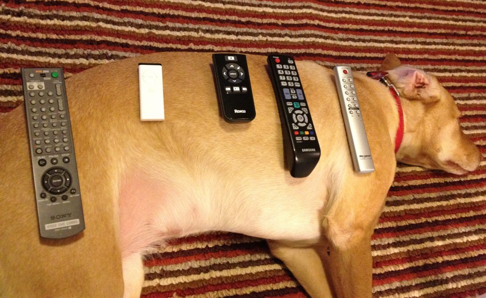 Early 2012 model Dog Remote Photos from Chris Hardie