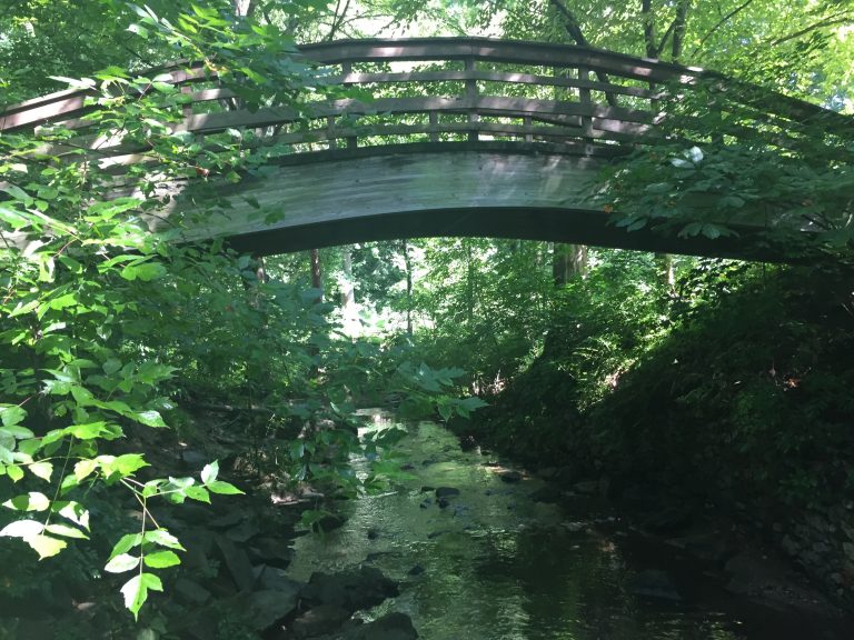 Asheville bridge Photos from Chris Hardie