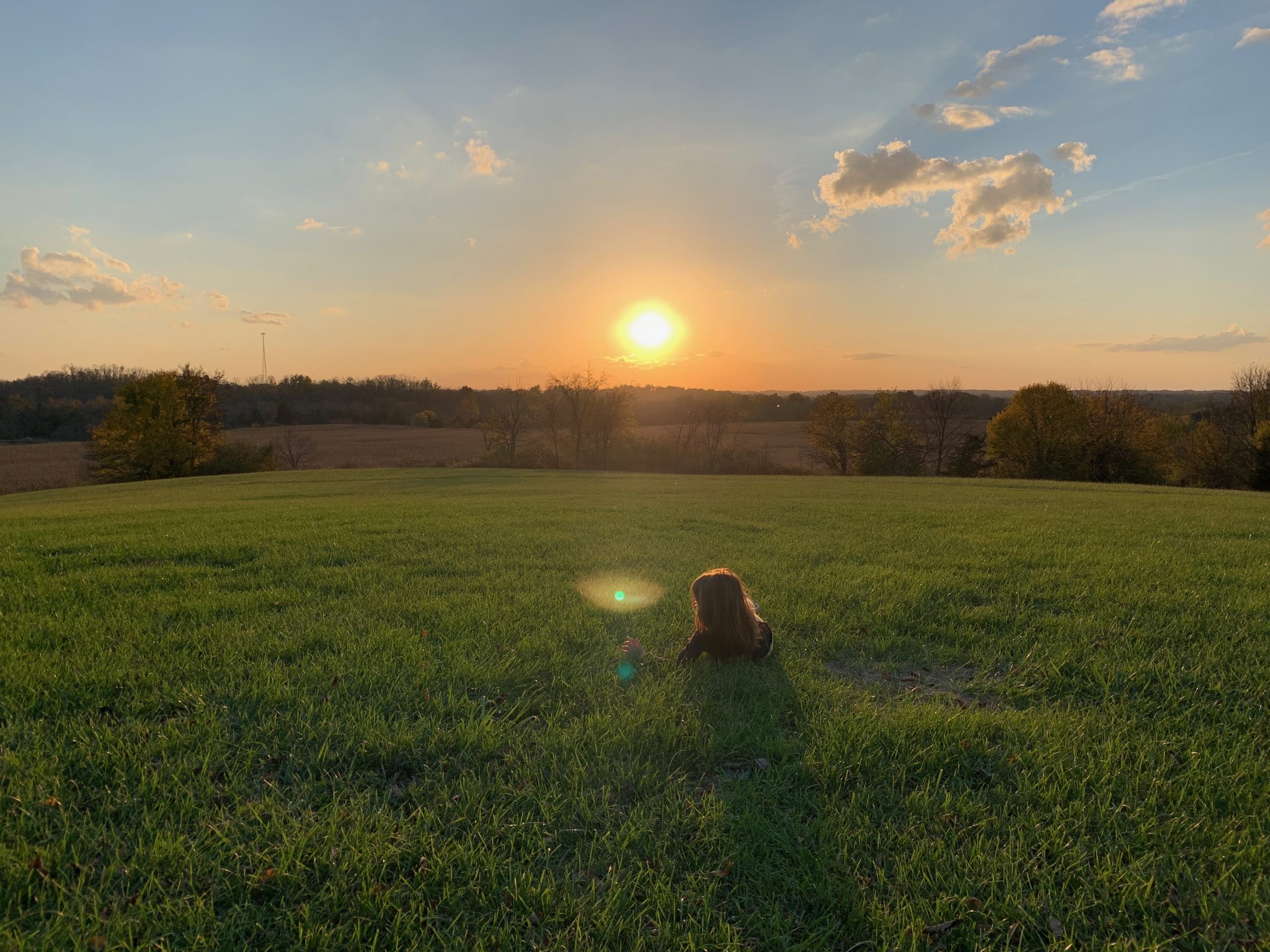 Field of dreams Photos from Chris Hardie